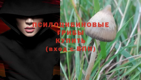 крисы Алексин